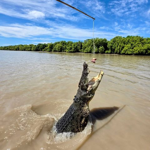 Djukbinj National Park, Australia — photograph 1