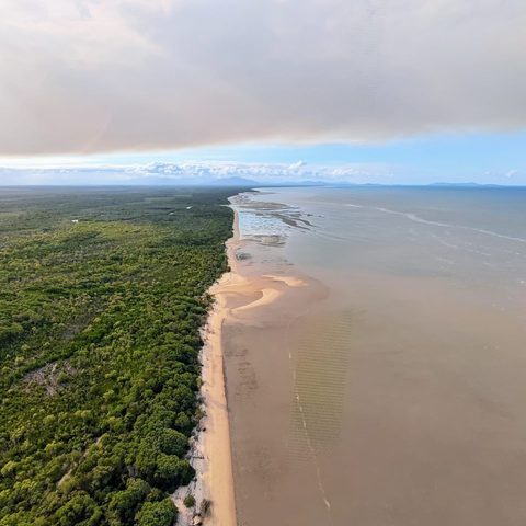 Where the forest meets the tide, Queensland, Australia