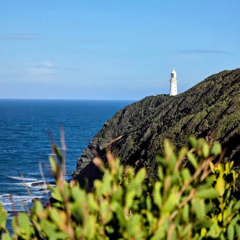 Great Otway National Park, Australia — photograph 1