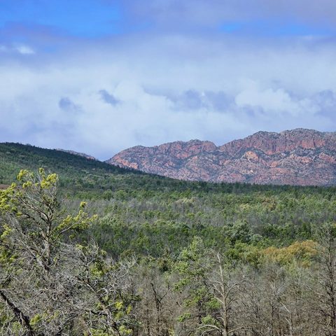 Ikara-Flinders Ranges National Park, Australia — photograph 3