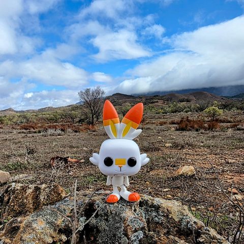 Scorbunny figurine at Ikara-Flinders Ranges National Park, Australia