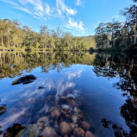 Shannon National Park, Australia — photograph 2