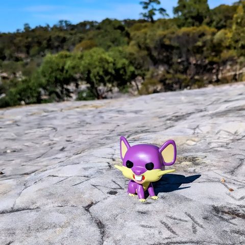 Rattata figurine at White Mountains National Park, Australia