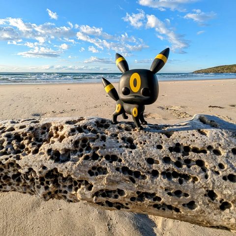 Umbreon figurine at Yuraygir National Park, Australia