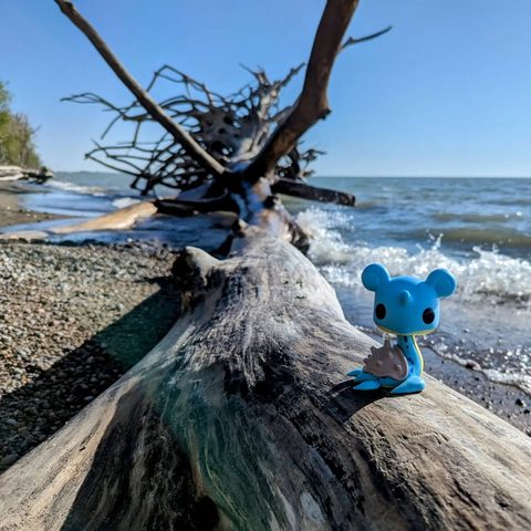 Lapras figurine at Parc national de la Pointe-Pelée, Canada