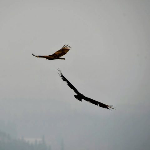 Parc national de Prince-Albert, Canada — photograph 3