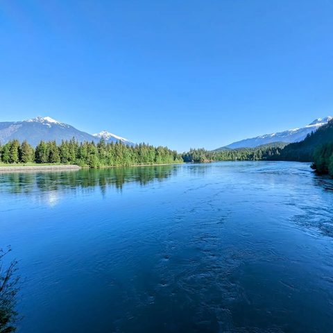 Parc national du Mont-Revelstoke, Canada — photograph 2
