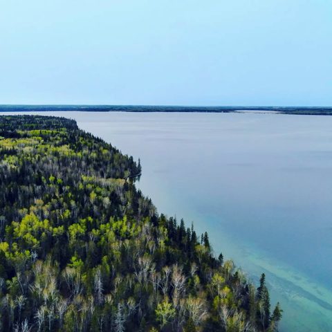 Spring along the lakeshore, Manitoba, Canada