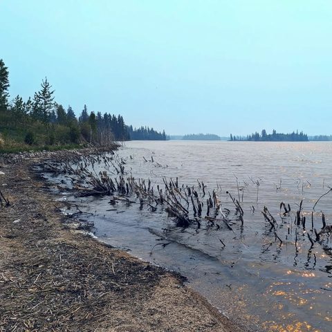 Parc national Elk Island, Canada — photograph 3