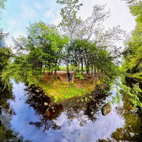 Parc national Kejimkujik, Canada — photograph 2