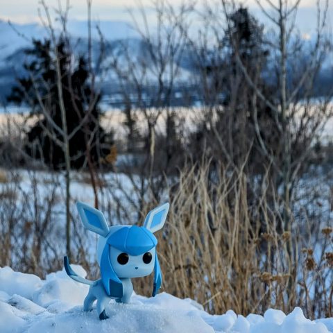 Glaceon figurine at Parc national Kluane, Canada