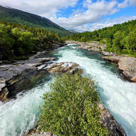 Dovrefjell-Sunndalsfjella Nasjonalpark, Norway — photograph 1
