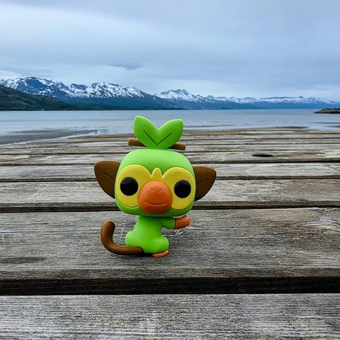 Grookey figurine at Møysalen Nasjonalpark, Norway