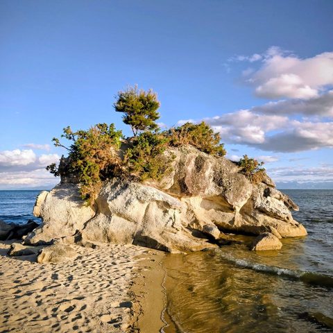 Abel Tasman National Park, New Zealand — photograph 2