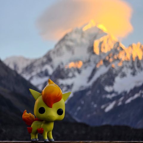 Ponyta figurine at Aoraki/Mount Cook National Park, New Zealand