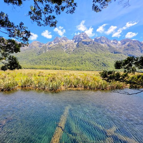 Fiordland National Park, New Zealand — photograph 1