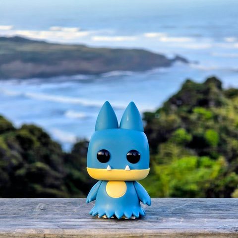 Munchlax figurine at Paparoa National Park, New Zealand