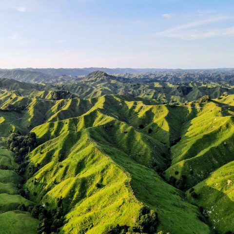 Folded green hills, New Zealand
