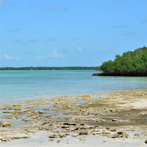 Biscayne National Park, United States — photograph 3