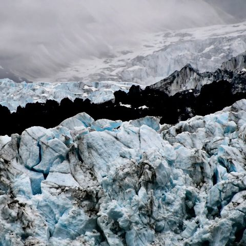 Glacier Bay National Park, United States — photograph 5