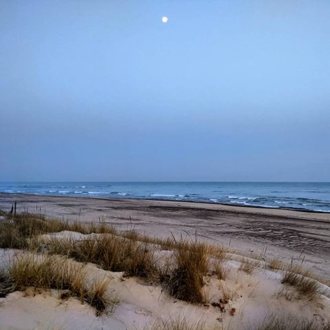 Indiana Dunes National Park, United States — photograph 2