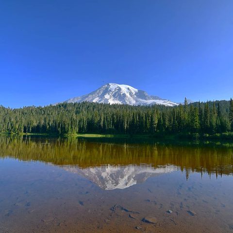 Mount Rainier National Park, United States — photograph 5
