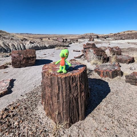 Treecko figurine at Petrified Forest National Park, United States