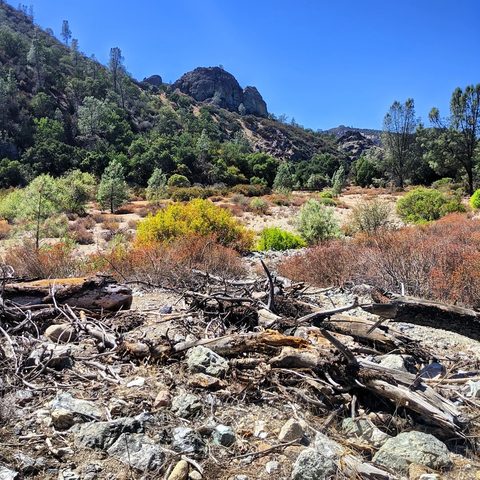 Pinnacles National Park, United States — photograph 1