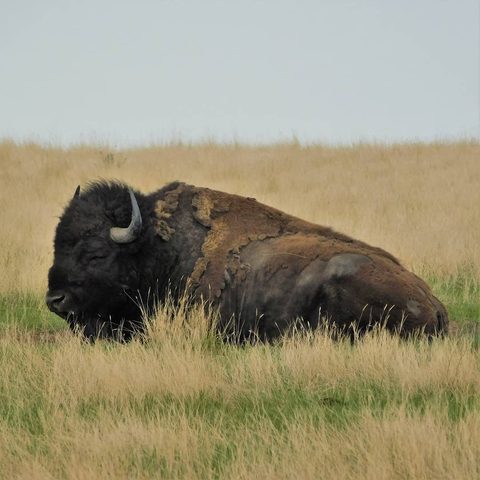 Theodore Roosevelt National Park, United States — photograph 2