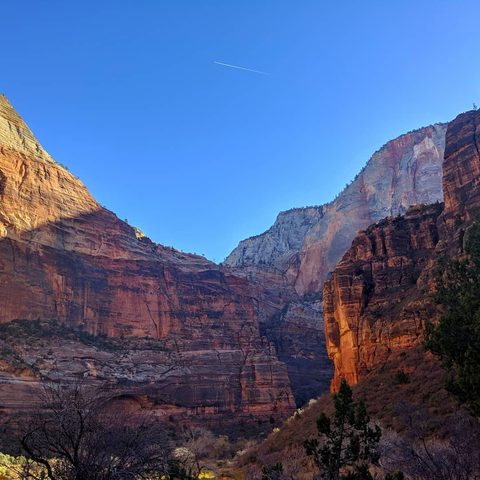 Zion National Park, United States — photograph 1