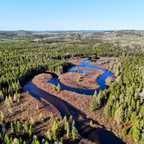 Water winding through the forest, Pukaskwa, Ontario
